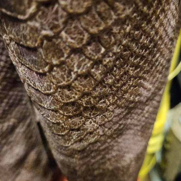 Lane wine snake print boots - Picture 4 of 8